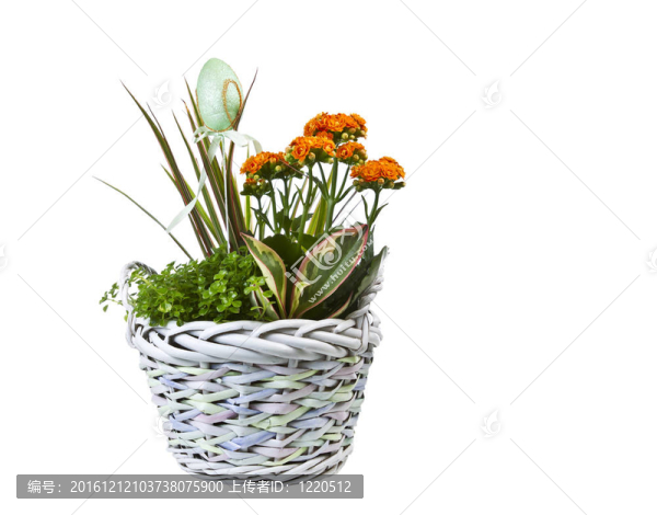 復(fù)活節(jié)花籃