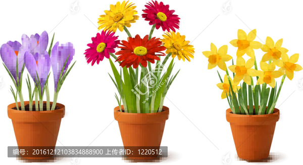 春天五顏六色的花盆