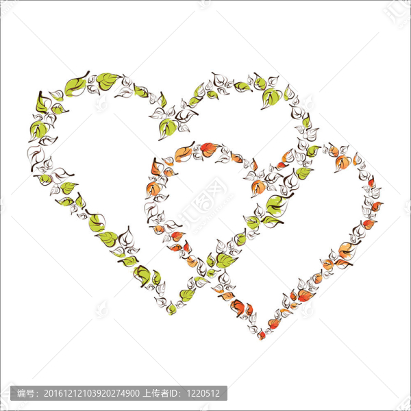 美麗的花的心
