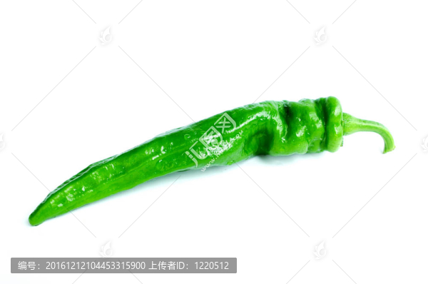 青椒