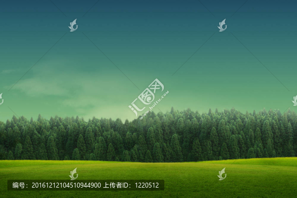 福雷斯特春景；樹；綠草如茵；田野背景