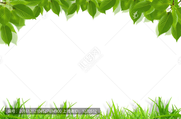 青草鮮葉架