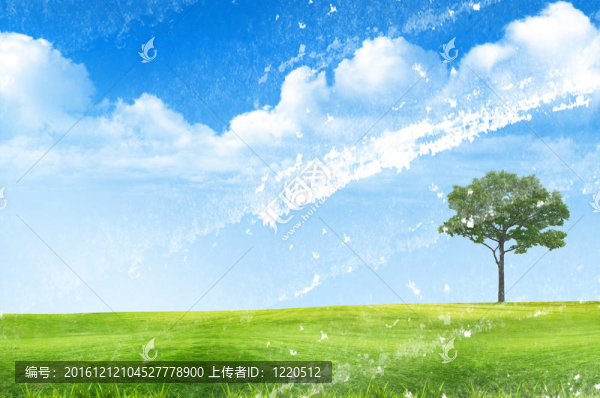 綠草如茵的藍天