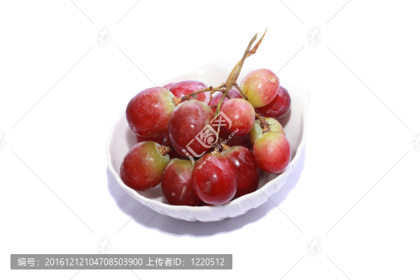 葡萄白