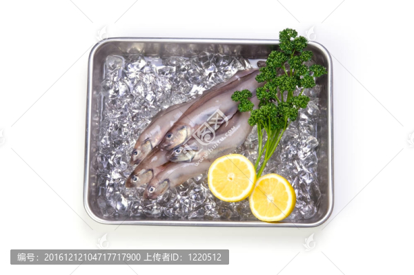 綿鳚