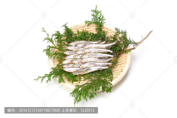 冶煉