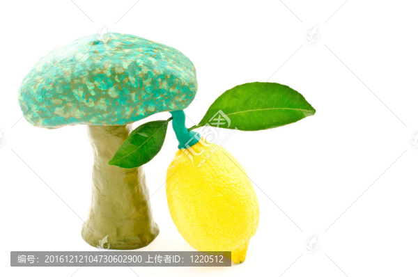 檸檬樹和黏土樹