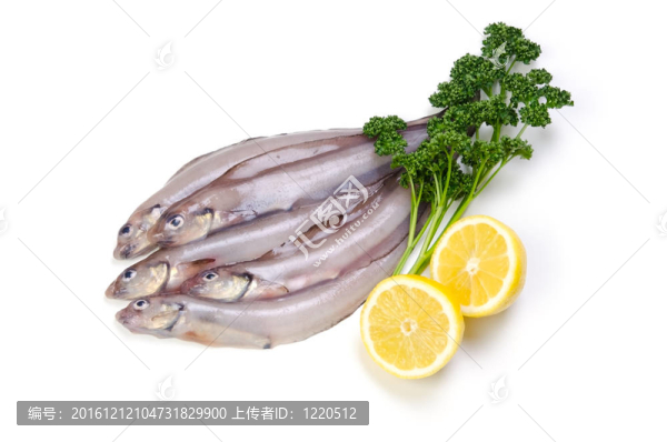 綿鳚