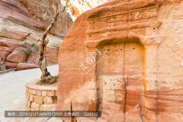 在SIQ峽谷砂巖山壁古生態(tài)位；Petra；