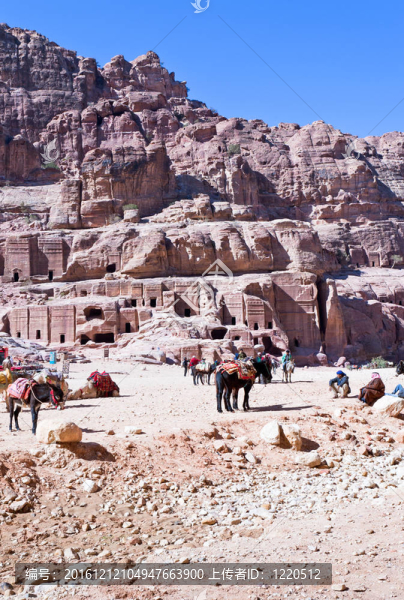 貝多因營地上正面；Petra；約旦