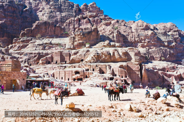 貝多因營地上正面；Petra；約旦