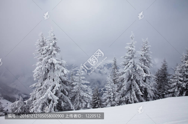 冬天多霧的山脈