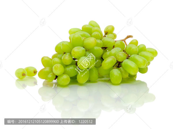 白底綠葡萄