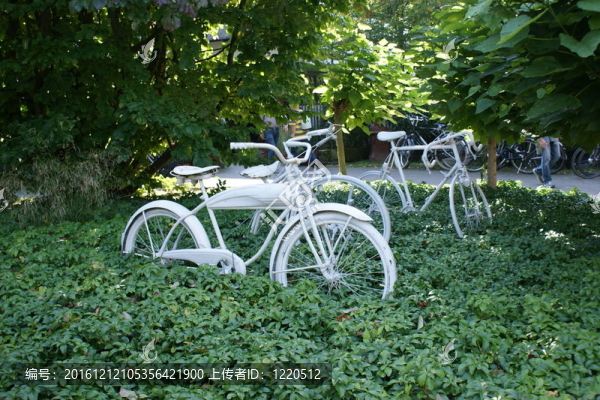 舊自行車