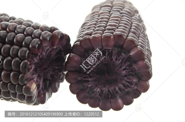 紫顏色玉米為白色隔離背景