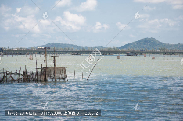 海里的魚陷阱