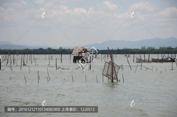 海里的魚陷阱