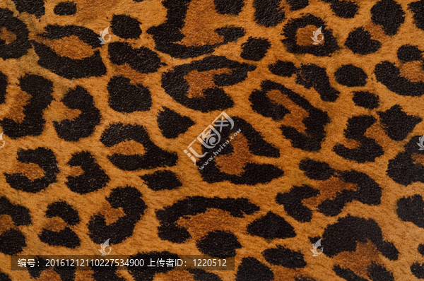 豹紋圖案