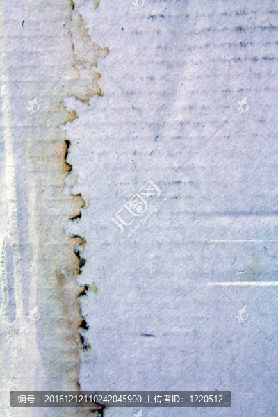 腐蝕形態(tài)