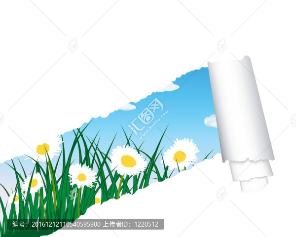 草甸輪廓撕開條