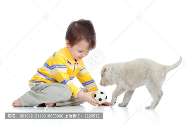 可愛的孩子玩小狗