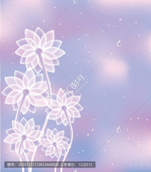 摘要：白色的花