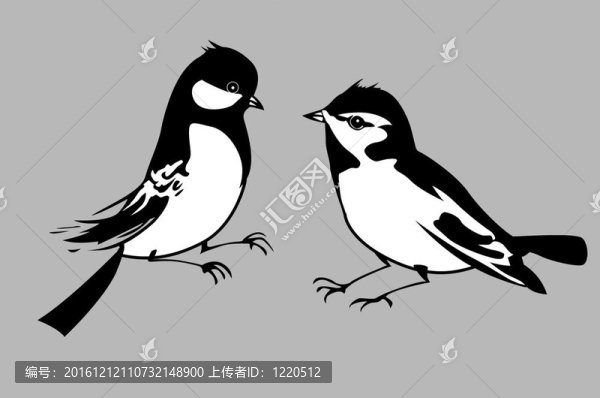 鳥的輪廓在灰色的背景；