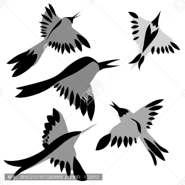 裝飾畫的鳥