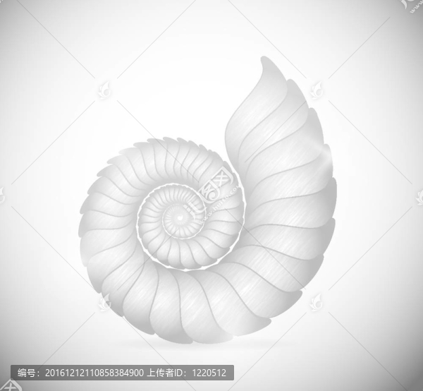 貝殼
