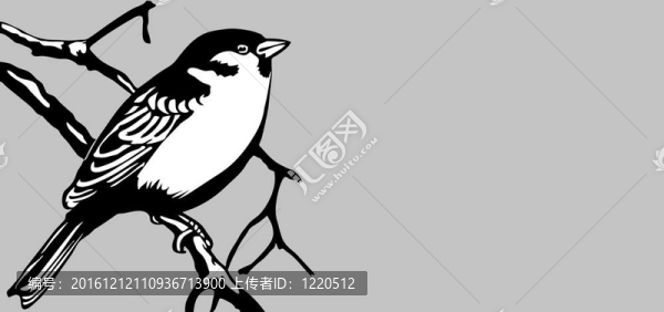 灰色背景鳥(niǎo)類剪影；插圖