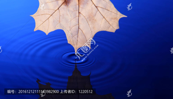 滴水入水