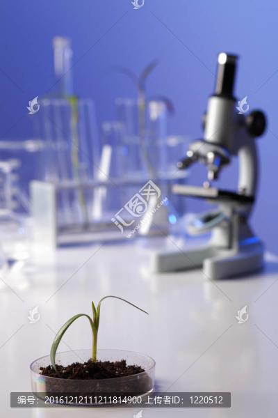 在綠色植物生物學(xué)實(shí)驗(yàn)室