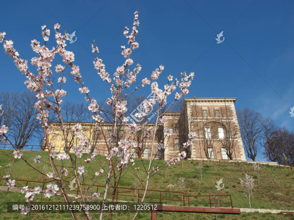 Castello,di,Rivoli；意大利