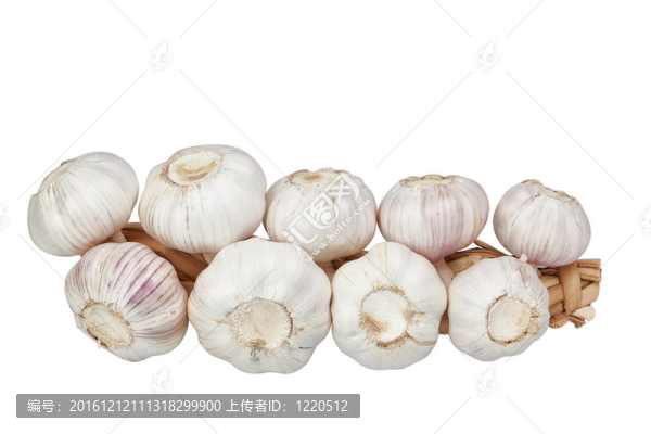 大蒜捆。在白色背景上。