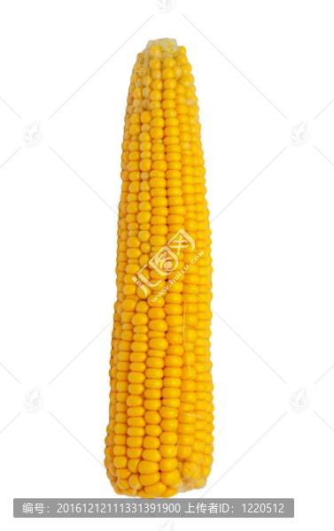 美味廚房。白鮮玉米