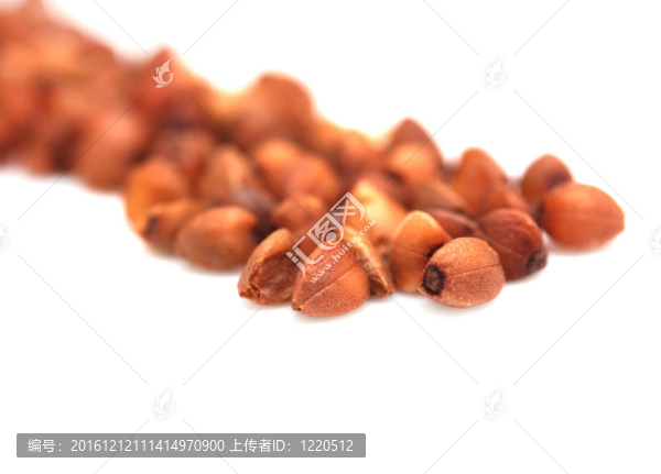 白底蕎麥。關(guān)閉
