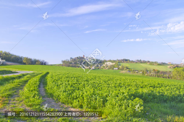 領(lǐng)域-匯圖網(wǎng) www.fosd68.com 領(lǐng)域