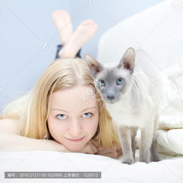 玩貓