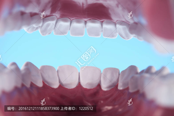 牙齒