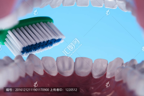牙齒；牙科保健品