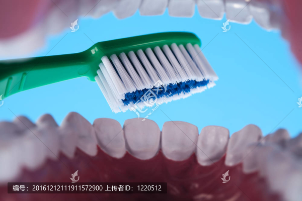 牙齒；牙科保健品
