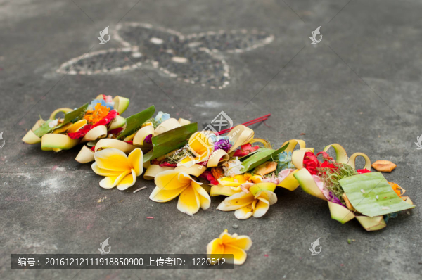 印度每日提供