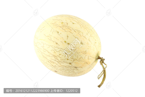 哈密瓜橢圓形右頭白色背景。