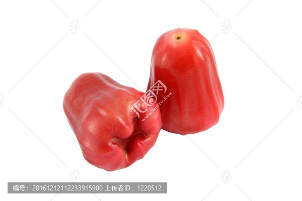 白背景上的兩朵紅玫瑰蘋果。