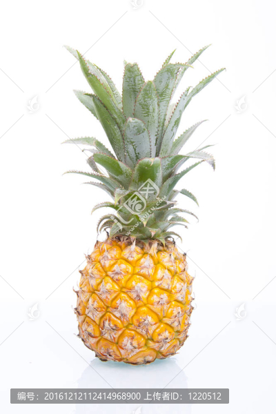 Fresh,Juicy,Pineapple孤立