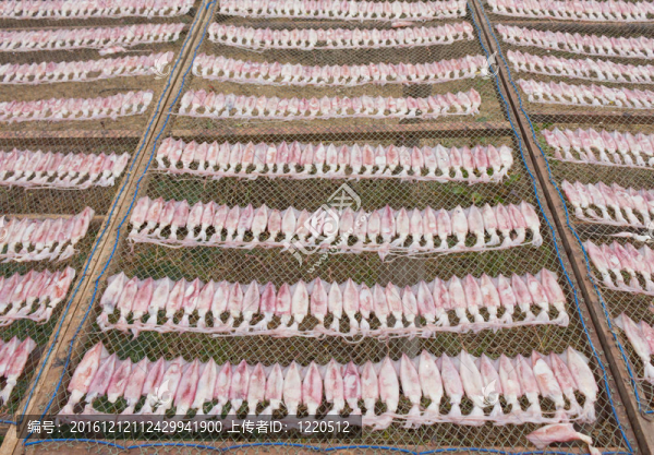 網(wǎng)上魷魚干