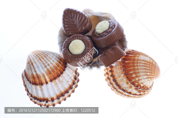 果仁巧克力和貝殼
