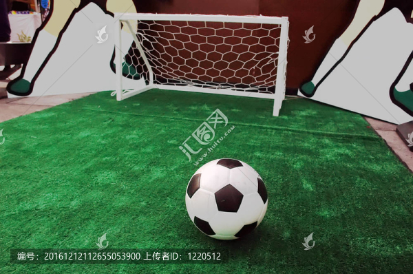 足球場草坪