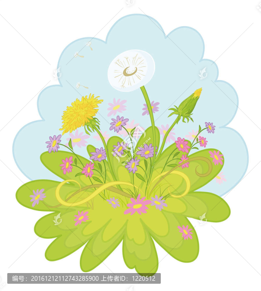 蒲公英在天空的花朵