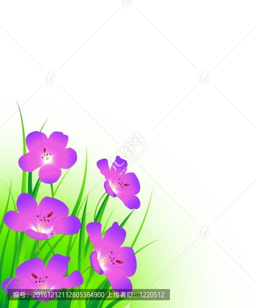 老鸛草-匯圖網(wǎng) www.fosd68.com 老鸛草